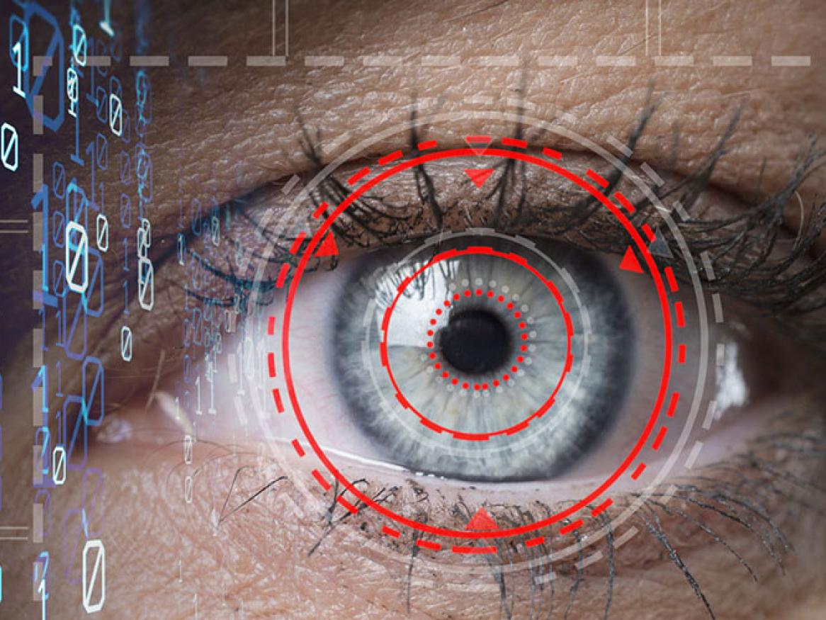 Commercial, innovation and technology